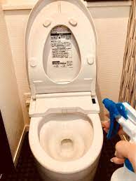 本橋ひろえ ナチュラルクリーニング講師 毎朝３分 トイレそうじ 2021 トイレそうじ お掃除の裏技 家のお掃除