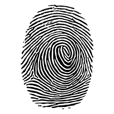Detailed Lined Fingerprint Ad Sponsored Ad Fingerprint Lined Detailed Wall Prints Fingerprint Marquesan Tattoos