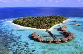Hoy presentamos el tesoro natural de las #islasmalvinas: Buceando En Las Malvinas Viajero Turismo Places To Travel Beach Island Resort Beautiful Places To Visit