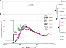 We did not find results for: Puma Genomes From North And South America Provide Insights Into The Genomic Consequences Of Inbreeding Nature Communications