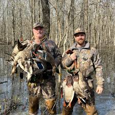 Profile for Brent Roy