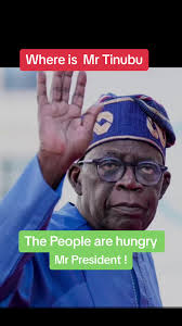 I Know I Have Made You People Hungry Tinubu