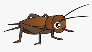 Get live cricket scores, scorecard, commentary, match info and schedules of all international and domestic matches, serieswise stats, records, analysis and facts, trending news and tweets. Cricket Insect Clipart Png Insect Clipart Png Transparent Png Transparent Png Image Pngitem