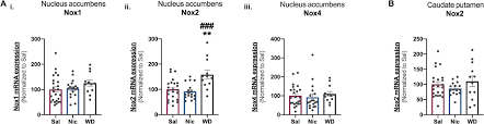 Microglia Morphology And Proinflammatory Signaling In The