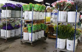 No need to go florist shop and render for fresh cut flowers. Gassafy Home