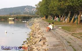 Öltözőkabinok, wc és különböző étkezdék is találhatók a hatalmas területen. Balatonfenyves Csalogany Kozi Szabadstrand Balaton Hungary Budapest