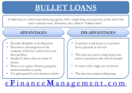 Bullet Loan Efinancemanagement Com Finance Financial Management Budgeting Money