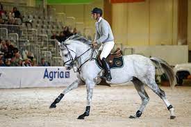 Och ännu bättre blir det. Peder Fredricson Hasten Ska Nastan Bli Som En Liten Boll Ridsport