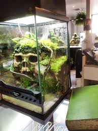 F72b304204b03a1d879a628dbdaccce4 Jpg 640 853 Pixels Reptile Terrarium Frog Terrarium Reptile Habitat