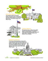 The Branches Of Government Lesson Plan Education Com