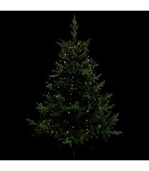 Fonds d'écran hd arbre de noël extérieur à télécharger. Guirlande Exterieure Copp Robe L 170
