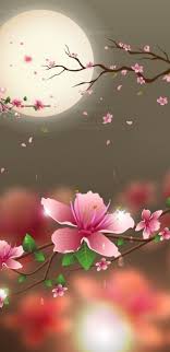 Fotos Blumenhandler Flower Background Iphone Flower Wallpaper Flower Backgrounds