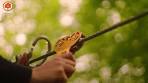 Video Klimmen bij Fun Forest - YouTube
