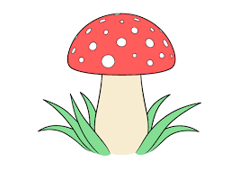 Black box trees eucalyptus largiflorens matt cameron from the new south wales office of environment has commissioned me to create a colouring book about easy step by step how to draw grassland drawing tutorials for kids. How To Draw A Mushroom Step By Step Easylinedrawing