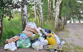 Is it illegal to dump garden waste. Illegal Dumping Everything You Need To Know Cheapest Load