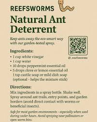 Mr. Shareef Abdullah (@_reefsworms) • Instagram photos and videos