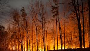 Check spelling or type a new query. Alteracoes Climaticas Podem Provocar Incendios Mais Destruidores Em Portugal Ambiente Magazine