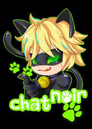 Noir Poster By Psychodelicia Displate Miraculous Ladybug Anime Miraculous Ladybug Comic Miraculous Ladybug Funny