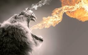Leon De Juda Poderoso Guerrero Lion Wallpaper Lion Poster Cool Desktop Backgrounds