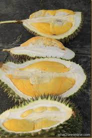 Hor lo, si merah, ling fong jiau Balik Pulau Durian Farm Visit Pondok Upeh What2seeonline Com