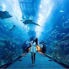Awesome Photographers On Instagram Amazing Photo By Larabohemia Follow Her For More Awesome T Dubai Travel Dubai Aquarium Travel Photography Inspiration