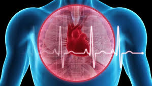 How To Monitor Sports Training With Hrv Simplifaster