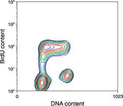 Studies of clearance rates of radiolabeled igg. Goat Anti Mouse Igg H L Cross Adsorbed Alexa Fluor 488 A 11001