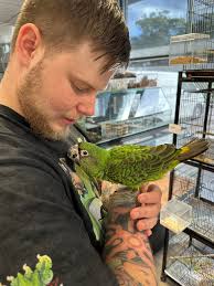 Talking to my girlfriend last night and she asked me how old he is, googled  Plup and stumbled into Mango Mohawk