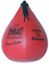 Everlast 4214 Boxing Speed Bag Review Updated