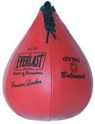 everlast 4214 boxing speed bag review updated