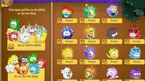 Puffles were first discovered in november 2005 and were sold for 800 coins, but the price was halved to 400 coins in 2013. Club Penguin Adopting Every Puffle Youtube