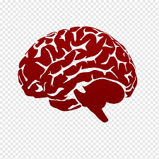 Free and premium stock images of people.we have thousands of royalty free stock images for instant download. Lateralization Of Brain Function Human Brain High Definition Television Abstract Brain Pattern People Computer Geometric Pattern Png Pngwing