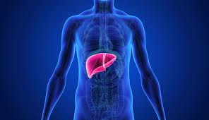 Alcohol Induced Liver Disease Johns Hopkins Medicine