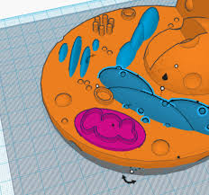 We did not find results for: 3d Printed Animal Cell Model By Cc Pinshape
