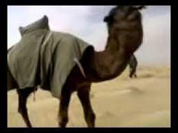 Check spelling or type a new query. Ø§Ù„ÙØ­Ù„ Ø§Ù„Ù…Ø´Ù‡ÙˆØ± Ø§Ù„Ø§Ø²Ù‡Ø± Ù„Ø§Ø¨Ù† Ø¬Ù„Ù…ÙˆØ¯ Ø§Ù„Ù…Ø±ÙŠ Youtube