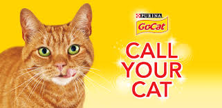 Purrhaps the best game ever created fur cats. Go Cat Call Your Cat Uk Co Gocat Callyourcat 2 8 Game Apkspc