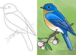 Bird Sitting On Branch Sketch Hi And Welcome To Drawin Time In This Tutorial I M Going To Show You How To Draw A Bird Sitting O Bird Drawings Easy Drawings Sketches Art Drawings For Kids