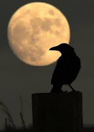 Bad Moon Rising Karga Karanlik Sanat Tablolar