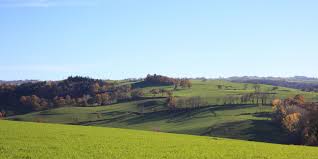 Les Arbres Des Chemins Outdoor Golf Courses Farmland
