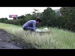 Favorite Flowers Personally Written Song And All The Promises Too Cute Marriage Proposals Marriage Proposal Videos Ways To Propose