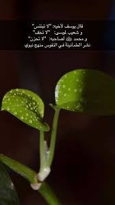 Pin By Nada Ayed Tomman ندى On اقتباسات Quran Quotes Quotes Arabic Quotes