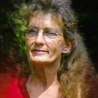 9137482_fbs.jpg?cb=20250728035746