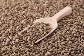 Hemp Seeds Price In India Marijuanasaveslives Org Indica marijuana seeds at the lowest prices available to buy online with stealth international shipping. hemp seeds price in india