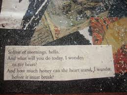Softest Of Mornings Hello Poem By Mary Oliver Mary Oliver Mary Oliver Poems Poetry Words
