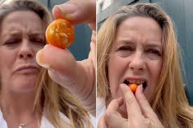 Alicia Silverstone Eats Possibly Toxic Fruit, Sparking Online Concern: 'I  Don't Think You're Supposed to Eat This' : r/popculturechat