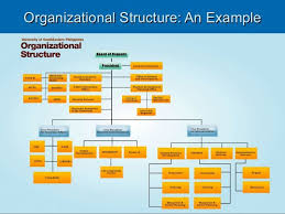 Non Profit Organizational Chart Examples Google Search