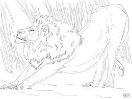 Stretching Lion Coloring Page Free Printable Coloring Pages In 2020 Lion Coloring Pages Coloring Pages Animal Coloring Pages