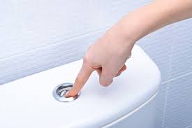 We did not find results for: How To Flush Toilet When Water Is Off Robinson Plumbing