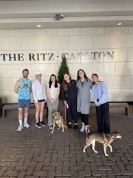 Mark Molinaro, Ed.D., CEC