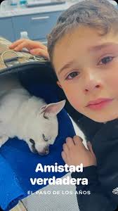 Franco nació cuando Darla la pequeña Chihuahua de mis papás tenia apenas 1  año y medio! Pasamos todo con ella, fue amada con toda el alma y nos dejó  con muchas historias, vio nacer a mi hijo y ...